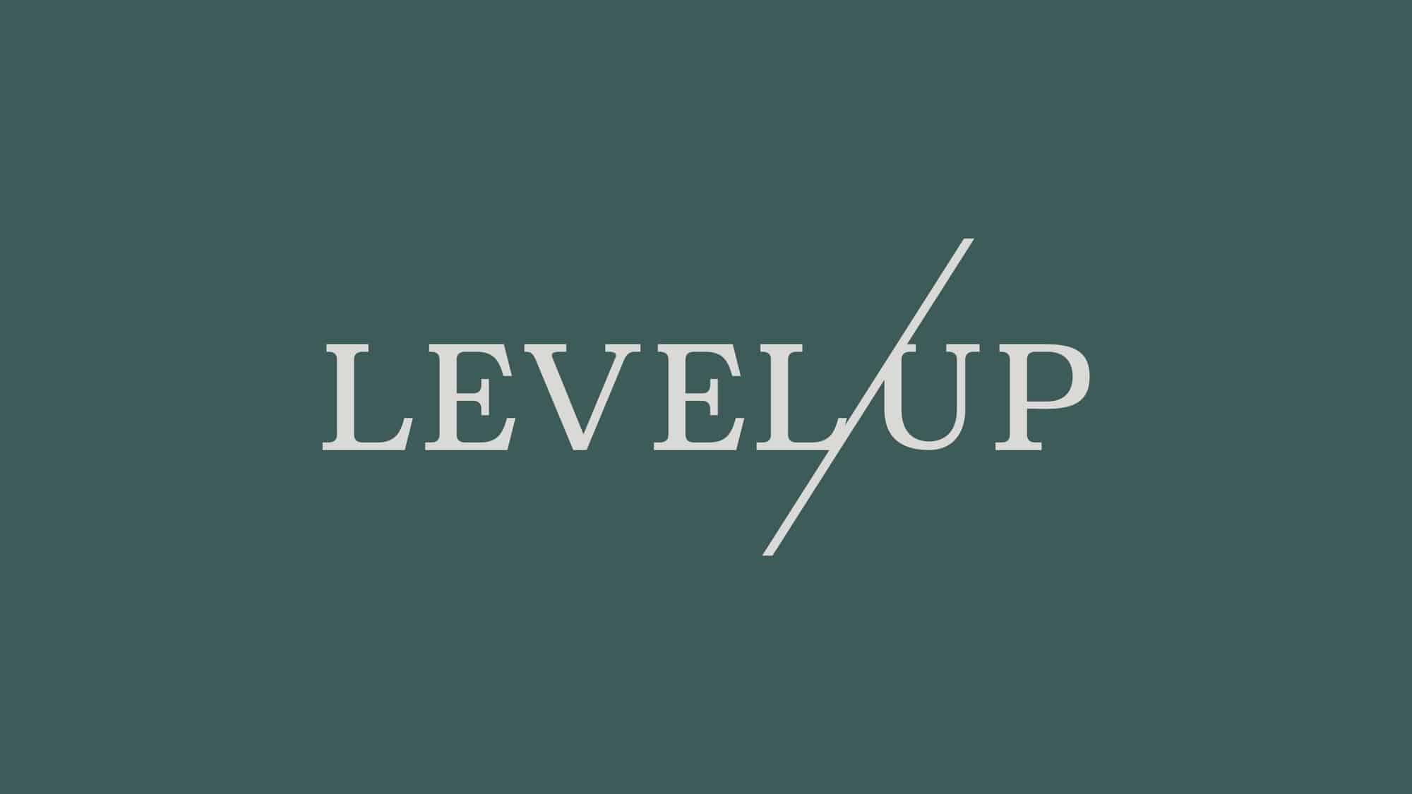 Level Up Dispensary Brand Identity High Road Design Studio